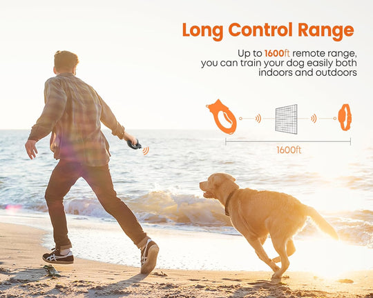 Dog Smart Remote E-Collar