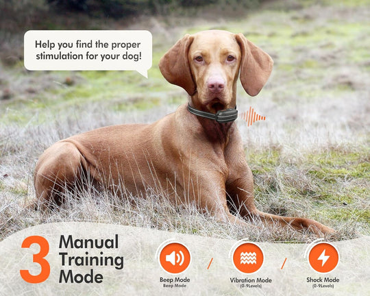 Dokoo Dog E-Collar (Beep, Vibration,Shock)
