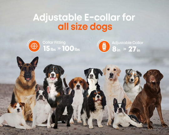 Dokoo Dog Shock E-Collar No-Pull Training Collar with adjustable trap fit for all size dogs