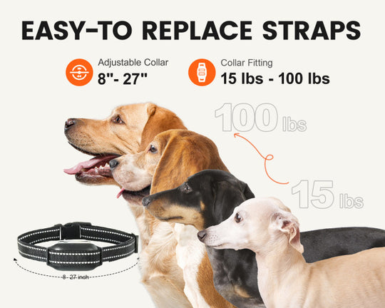 Adjustable Collar Training Leash