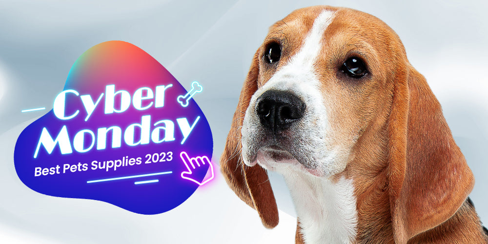 Best Cyber Monday Pets Supplies of 2024