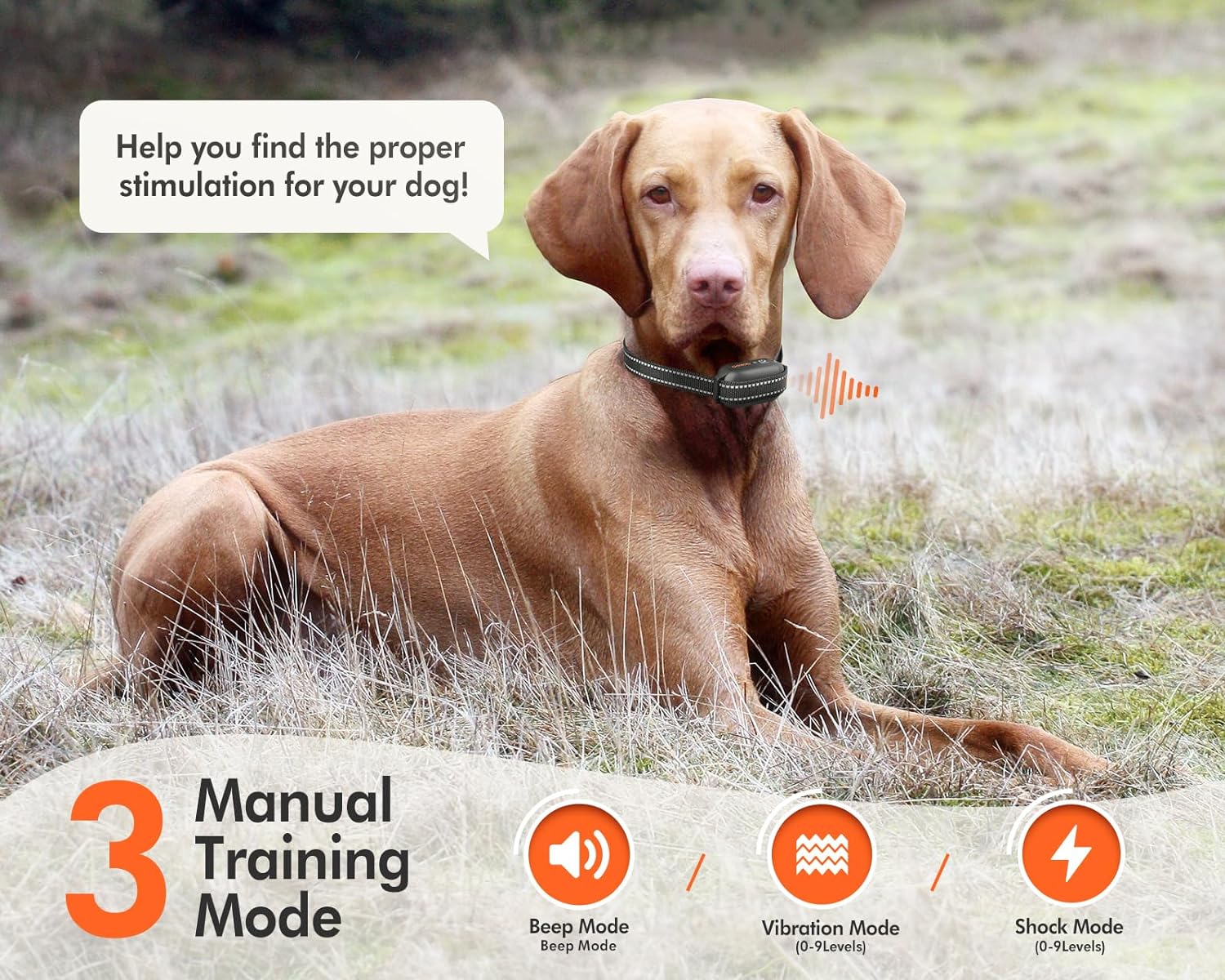 Dokoo E-Collar Multiple training modes