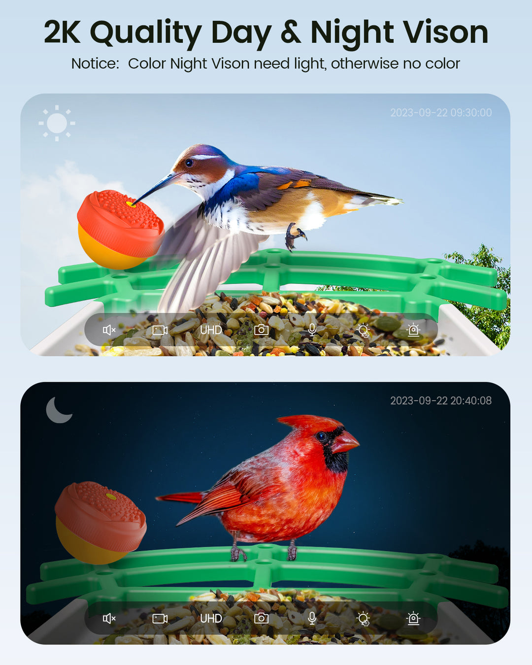 Dokoo Smart Bird Feeder Camera 2K Quality & Night Vison