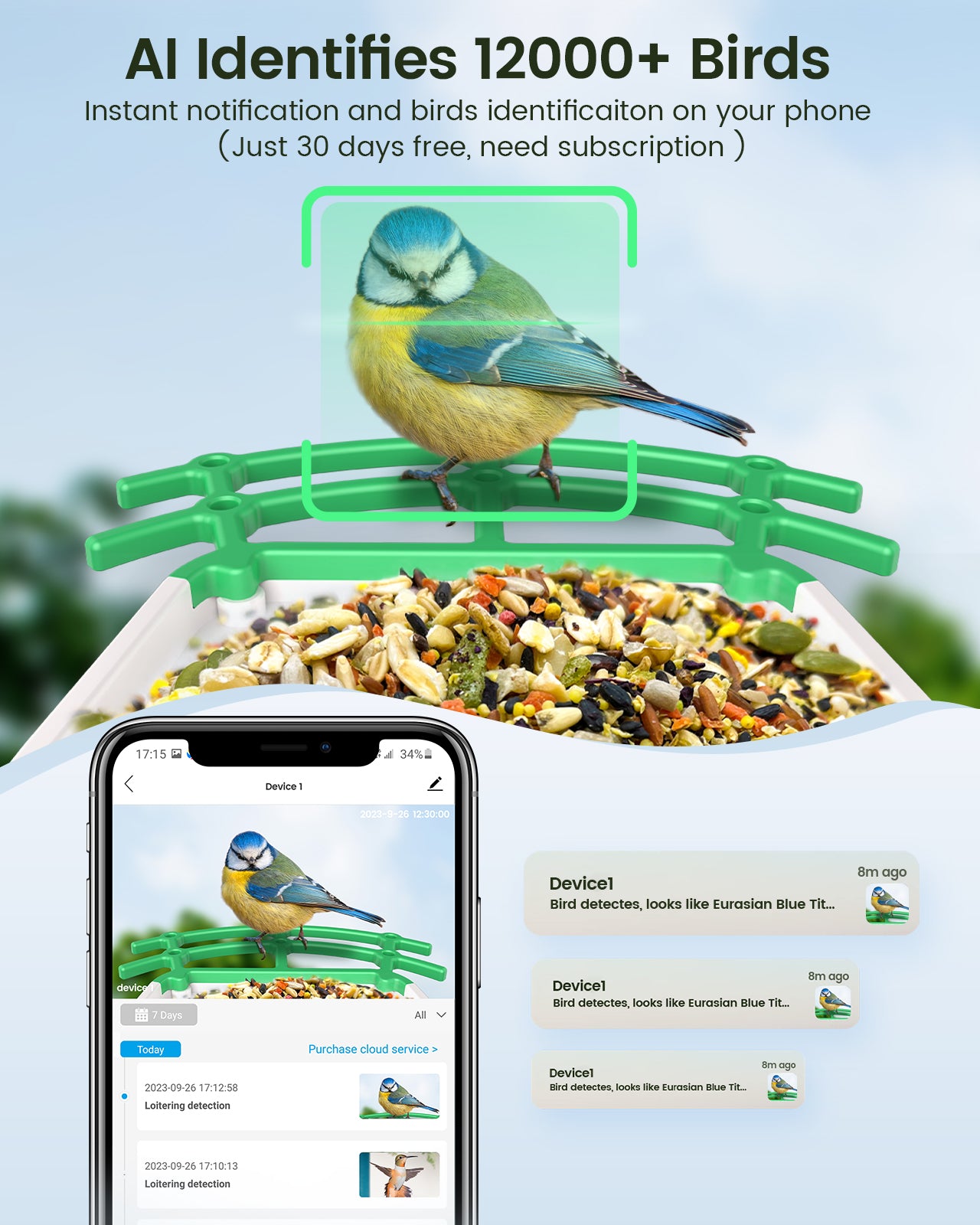 Dokoo AI Bird Feeder Camera: Feed, Watch and Record Birds All In One