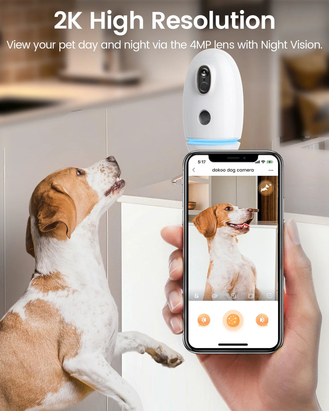 Dog Camera with Treat Dispenser