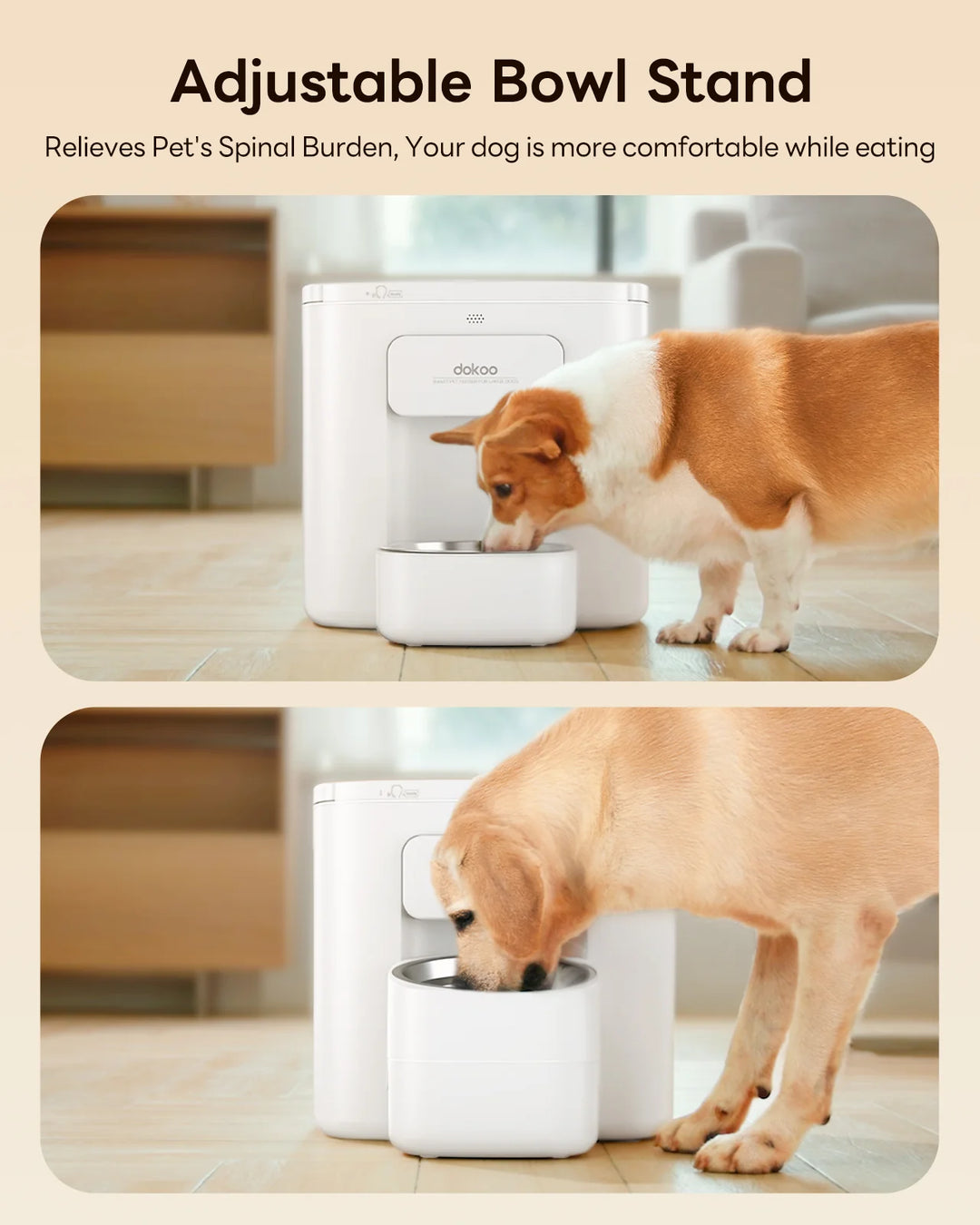 Automatic Dog Feeder 15L with Raised Bowl