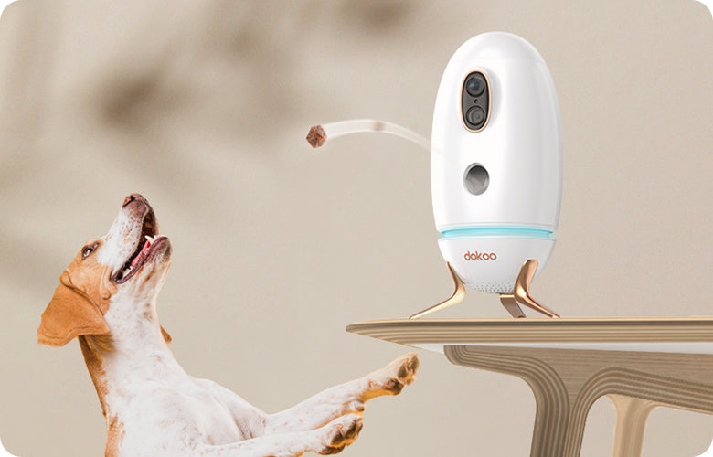Dog Treat-Dispensing Cameras: Black Friday Gift Ideas