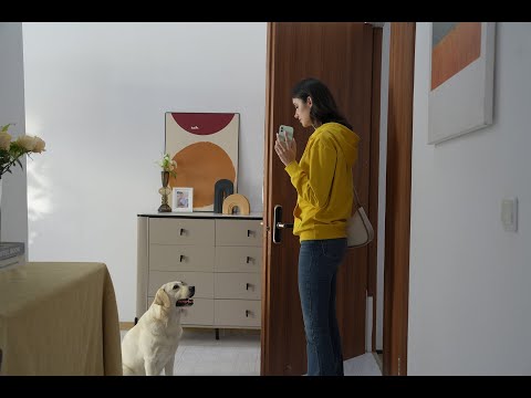Dokoo Pet Dog Camera Treat Dispenser